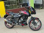 Bajaj Pulsar Dabol disck 2021