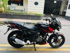 Bajaj Pulsar DD 150cc 2021