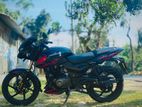 Bajaj Pulsar D.D 2021