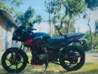 Bajaj Pulsar D.D 2021
