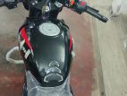 Bajaj Pulsar DD Abs 2024 Model