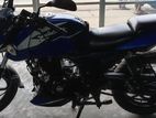 Bajaj Pulsar DD BLUE EDUCATION 2021