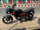 Bajaj Pulsar dobol disc 2019