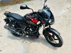 Bajaj Pulsar Gloss Registered 2023