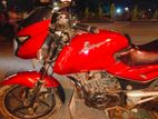 Bajaj Pulsar good and fresh 2011