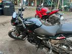 Bajaj Pulsar N250 2024