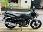 Bajaj Pulsar Neon SD 150cc 2019