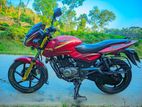 Bajaj Pulsar ফ্রেশ কন্ডিশন 2017