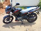 Bajaj Pulsar sd 2019