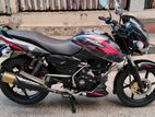 Bajaj Pulsar SD new model 2022