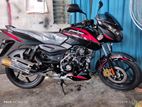 Bajaj Pulsar singl dx double abs 2024