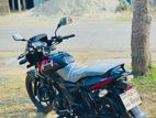 Bajaj Pulsar Single disc 2022