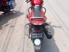 Bajaj Pulsar single disk 2011