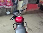 Bajaj Pulsar সুপার ফ্রেশ 2010