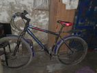 Bicycle For Sell