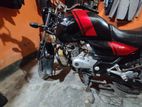 Bajaj V15 Black - Red Sticker 2017