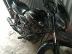 Bajaj XCD 125 2008