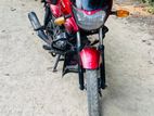 Bajaj XCD 125 2024