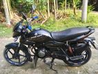 Bajaj XCD . 2008