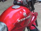 Bajaj XCD . 2016