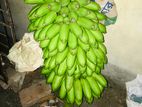 Banana - প্রতি পিস্ ৫ টাকা