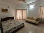 Banani 4000 Sft Full Furnished Apartment Rent