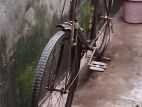 Bangla Cycle