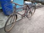 Bangla Cycle