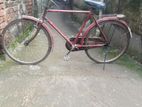 Bicycle for sell