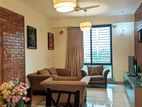 Bashundhara Fully Furnished Apartment for Rent