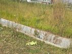 Bashundhara I-Extension 3 katha Plot Sell