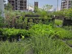 Bashundhara R /A Block -L plot sell