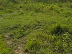 Bashundhara R /A Block-"N" Plot Sell