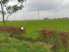 Bashundhara R/A ,South faceing plot for low price-