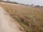 Bashundhura P Ex 60 ft Road 05 kata plot sell..