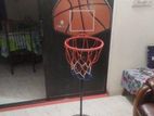 Basket ball cage