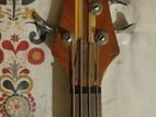 Bass Guitar