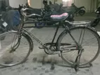 Phoenix Bicycle for sale