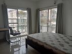 Beautiful Fully Furnished Apartment Rent in Gulshan