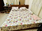 Bed 6 Ft By 7 Ft, Malaysian Oak Wood