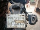 Beetle Bolt Bobcat . 2012