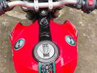 Benelli 165S . 2023