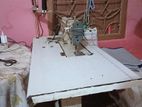 Sewing machine sale