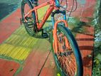 Landao Bicycle for sale