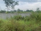 Best for Investment ! South Facing 3 Katha @ Sector- 22