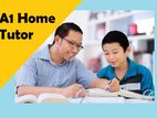 Best Home Tutor_for Grade 5 Scholastica