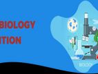 BEST TEACHER_FOR_IB CURRICULUM _ISD_AISD_ASIS