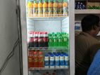 Beverage Cooler Friz