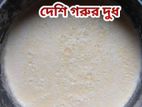 বগুড়ার দই