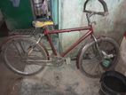 Bicycle for sell.